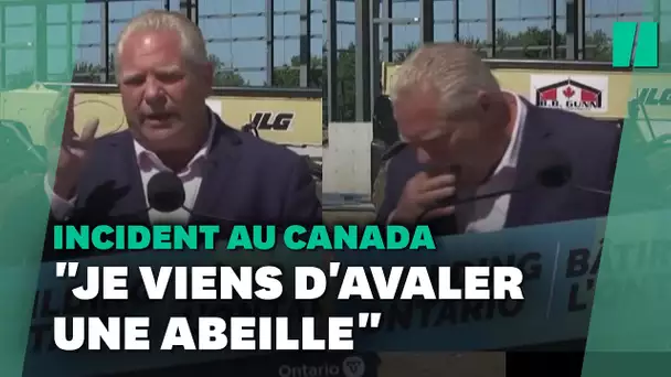 En pleine conférence de presse, cet homme politique canadien avale une abeille