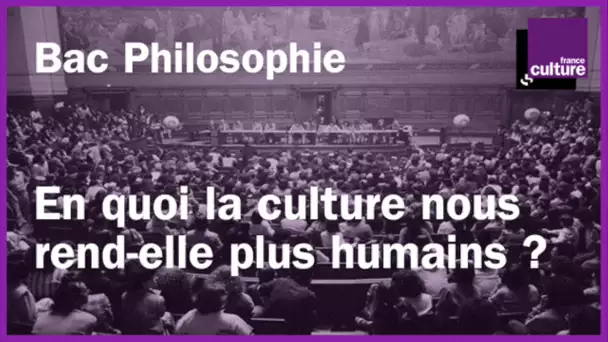 BAC PHILO révisions - En quoi la culture nous rend-elle plus humains ?