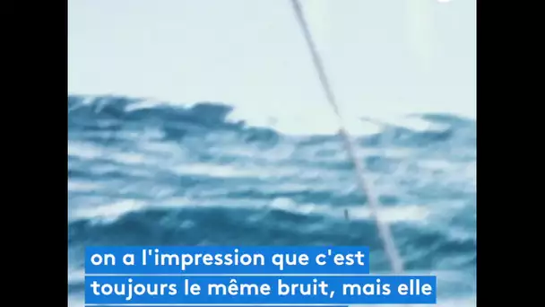 DOCUMENTAIRE. La mer - Bernard Moitessier autour du monde [extrait 2]