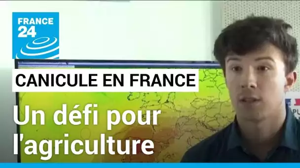 Canicule en France : une vague de chaleur tardive qui représente un défi inédit pour l'agriculture