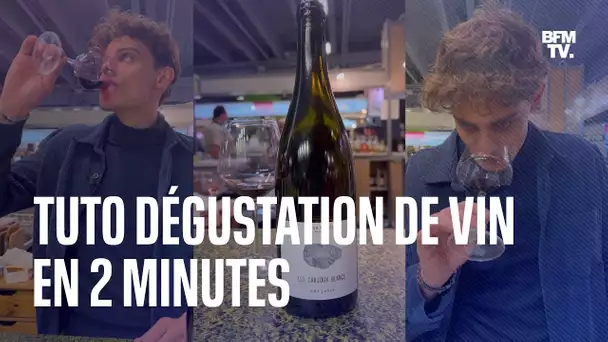 Apprendre à déguster le vin en 2 minutes avec Émile Coddens, TikToker et vigneron