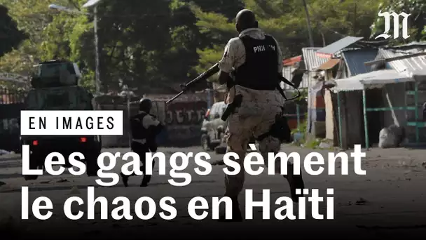 Terreur des gangs en Haïti : la population face à l’insécurité