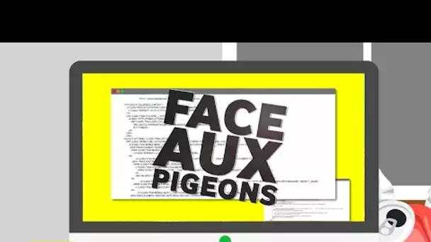 Face aux Pigeons #4
