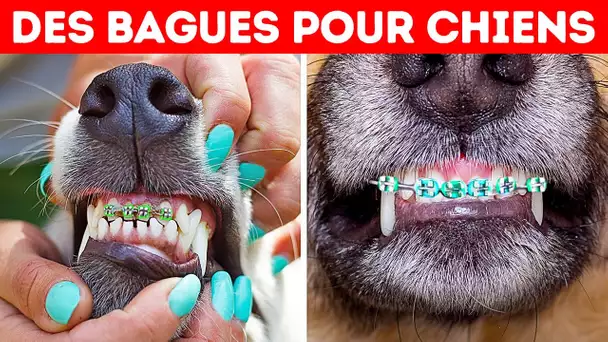 33 Choses Incroyables Que tu ne Savais Pas il y a 5 Minutes