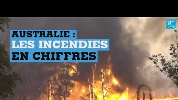 Australie : les incendies en chiffres
