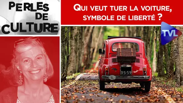 Qui veut tuer la voiture, symbole de liberté ? - Perles de Culture n°288 - TVL
