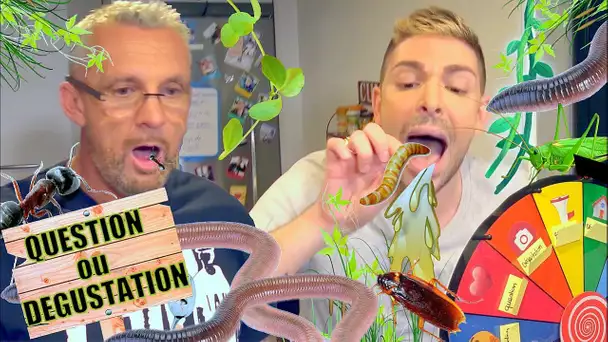 QUESTIONS ou DEGUSTATIONS (à vomir) : CAFARDS, VERS, CRIQUETS, avec Pascal (Les Anges) !