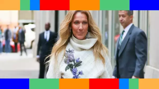 🔥  Céline Dion : Elle reçoit un gros tacle de la mère de Grégory Lemarchal !