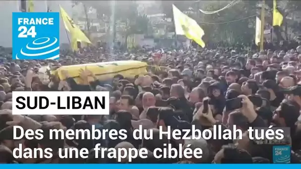 Des membres du Hezbollah tués dans une frappe ciblée au Sud-Liban • FRANCE 24