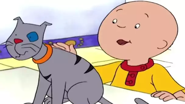 Caillou le Vétérinaire | Caillou en Français