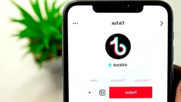 TikTok : Les créateurs de TikTok critiquent la faible rémunération du réseau social !