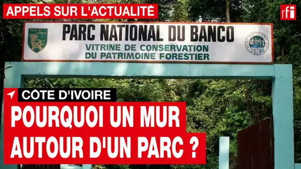 Côte d’Ivoire : un mur pour protéger le « poumon vert » d’Abidjan  • RFI