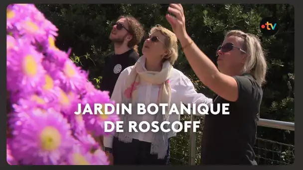 Jardin Botanique de Roscoff