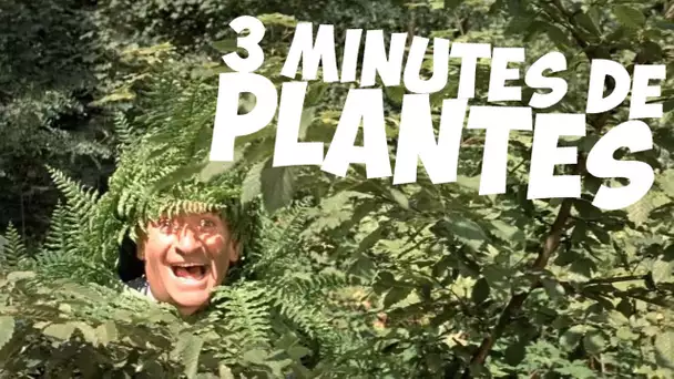 3 minutes de plantes avec Louis de Funès !