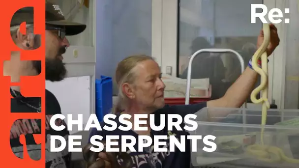 Invasion de serpents: Cauchemar aux Canaries   | ARTE Regard