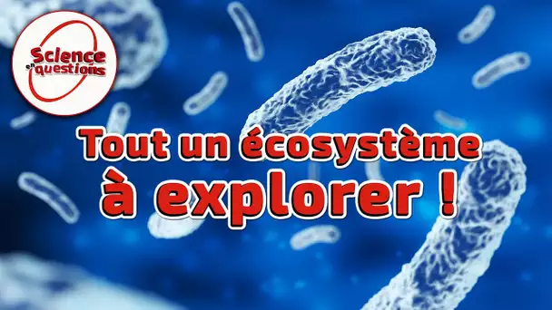 Microbiote : le monde secret de vos intestins - Science En Questions