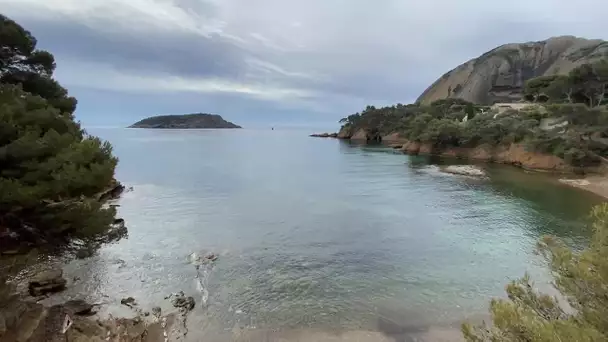 Découverte de l'île verte en face de la Ciotat