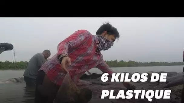 Ce cachalot est retrouvé mort avec 6 kilos de plastique dans le ventre