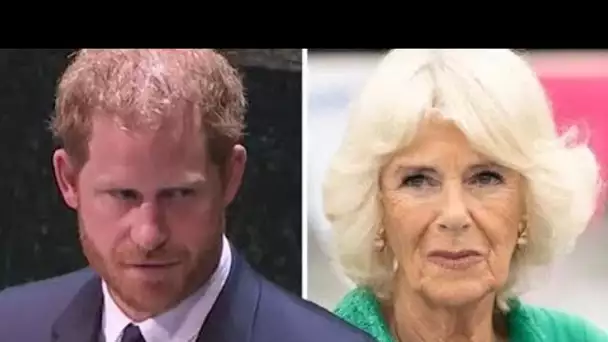 Harry était "heureux d'accepter" Camilla comme belle-mère mais n'a plus de "chaleur" pour la duchess
