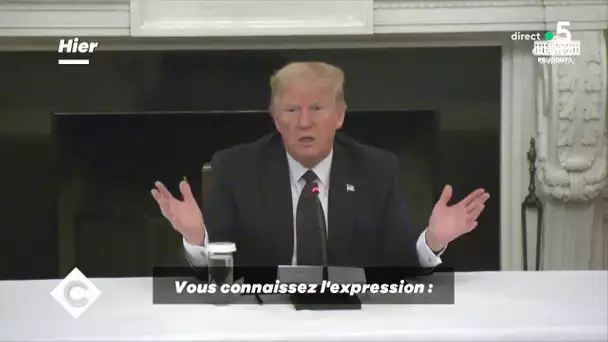 Donald Trump sous chloroquine - C à Vous - 19/05/2020