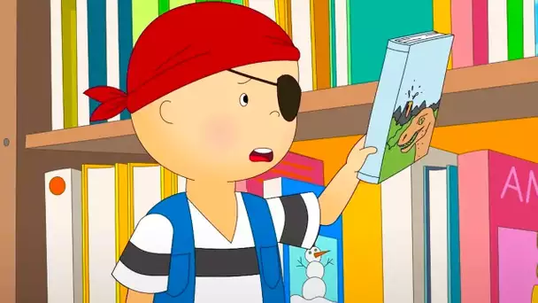 Quel Est Ton Livre Préféré? | Caillou en Français