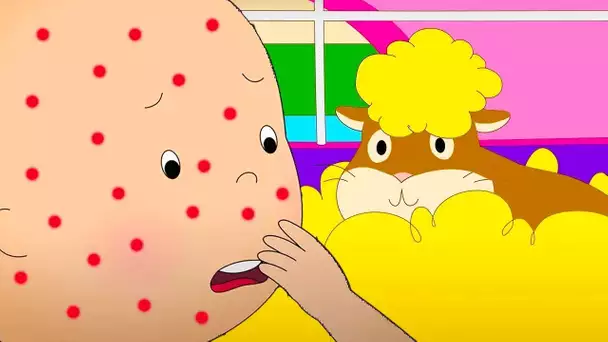 Allergique aux Animaux | Caillou en Français | WildBrain Enfants