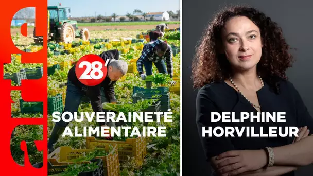 Delphine Horvilleur / Une assiette 100 % made in France, c’est possible ? - 28 Minutes - ARTE