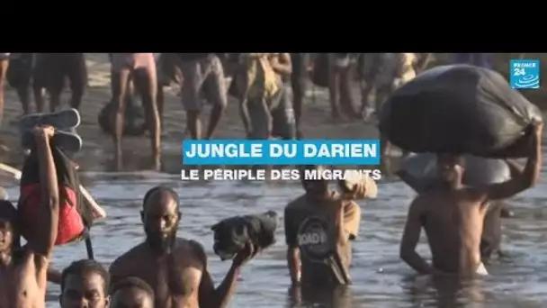 Le périple des migrants dans la jungle du Darien • FRANCE 24