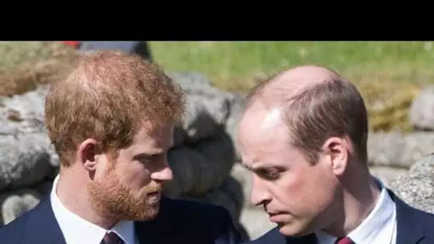 Grosse dispute entre William et Harry: Ce dernier "littéralement jeté hors du palais" à cause de s