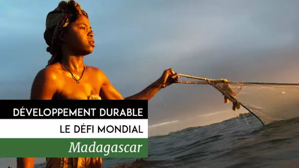 Développement durable, le défi mondial - Madagascar, l&#039;agriculture et protection de la nature