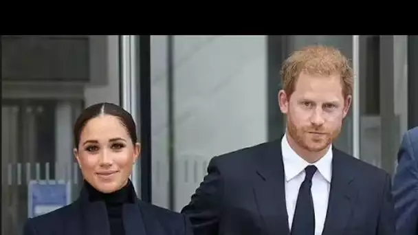 Meghan et Harry "devraient être dépouillés des titres de Sussex sans délai"