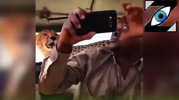 [Zap Net] Un selfie avec un guépard ! (27/09/21)