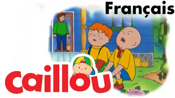 Caillou FRANÇAIS - Un nouveau membre dans la famille (S02E14) | conte pour enfant