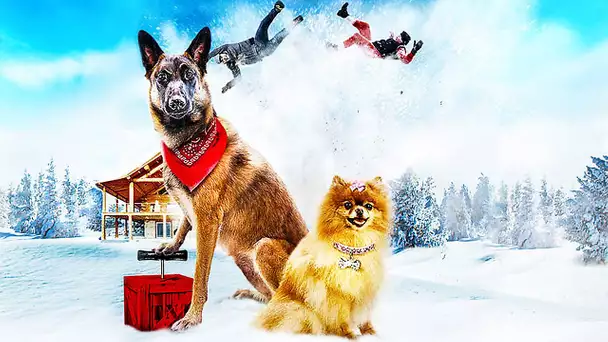 Doggy Dog | Film Complet en Français | Famille