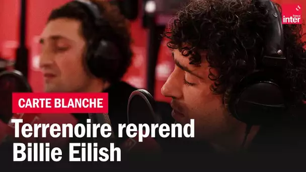 Terrenoire reprend "Everything I wanted" de Billie Eilish - La carte