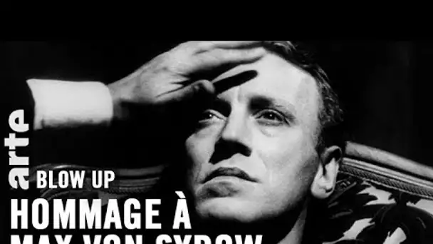 Hommage à Max von Sydow- Blow Up - ARTE