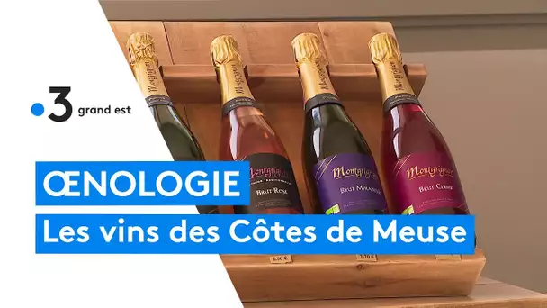 Partez à la découverte des vins des Côtes de Meuse