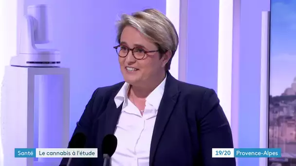 La députée LREM Fontaine-Domeizel à la tête d'une mission sur l'usage du cannabis thérapeutique