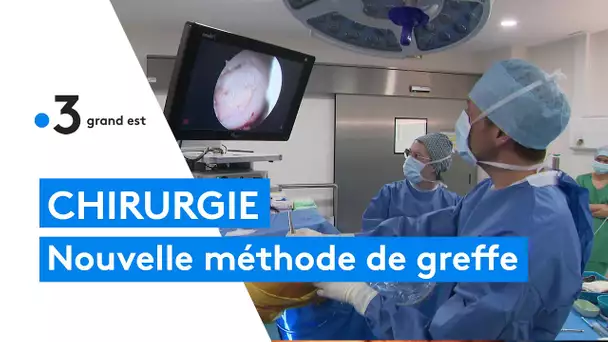 Une nouvelle méthode de greffe par cartilage