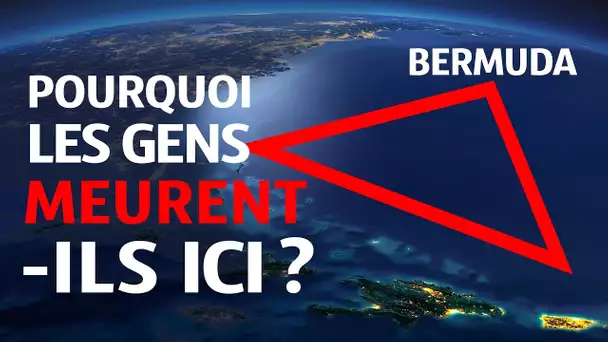 Qui vit au fond dans le triangle des Bermudes ?