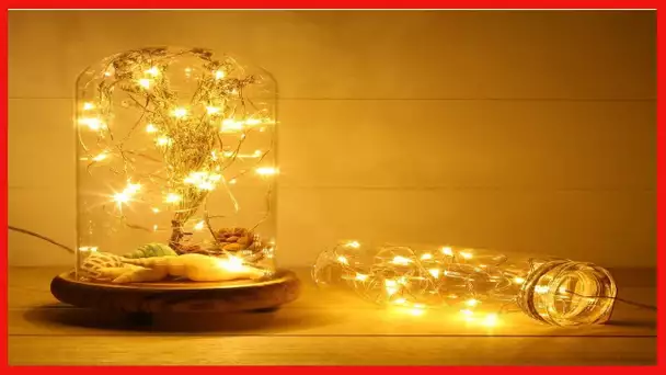 LED Fairy String Lights ANJAYLIA 10Ft/3M 30leds Firefly String Lights Garden Home Party Wedding