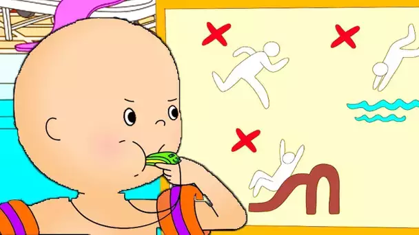 LIVE 🔴 | Caillou en Français | Caillou le Maître Nageur | dessin animé | dessin animé pour bébé