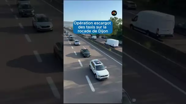 Opération escargot des taxis sur la rocade de Dijon