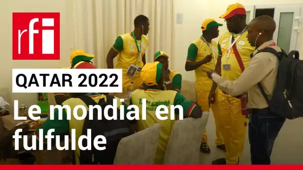 Coupe du monde 2022: le mondial en fulfulde • RFI