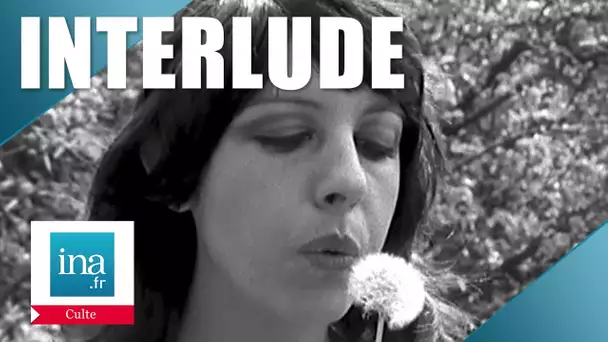 Interlude : La nature vous offre 4 minutes de... | Archive INA