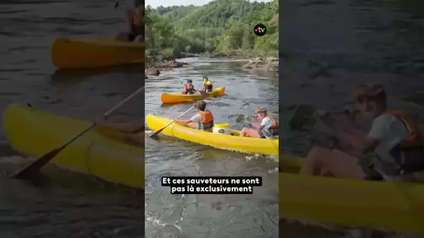 🚒🛶 Ces anges gardiens effectuent plus de 300 interventions chaque été. Impressionnant, non ?