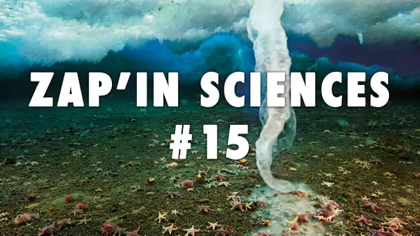 Zap'In Sciences #15 - L'Esprit Sorcier