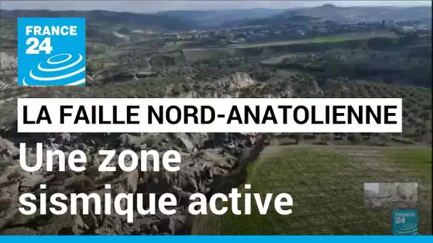 La faille nord-anatolienne, une zone sismique active et connue • FRANCE 24