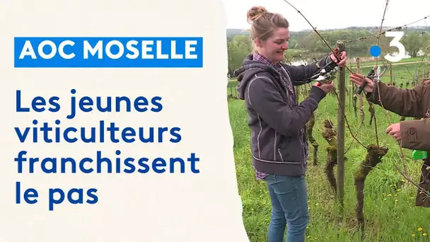 AOC Moselle : de jeunes viticulteurs s'installent