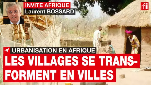 L. Bossard : « La transformation des villages en villes, moteur de l’urbanisation africaine » • RFI